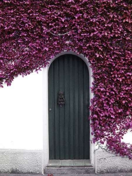 Красивые и необычные двери