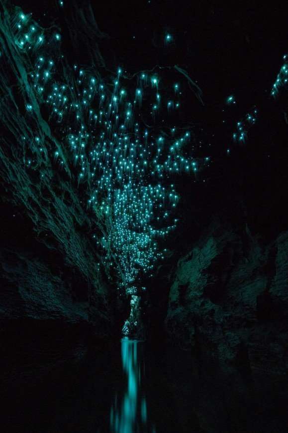 Пещеры Вайтомо - космос под землей
