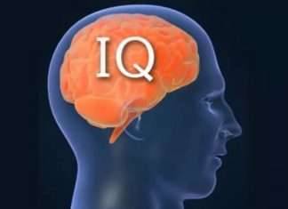 Рівень IQ — скільки буде в балах