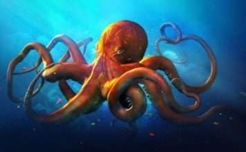 Восьминоги – найрозумніші безхребетні