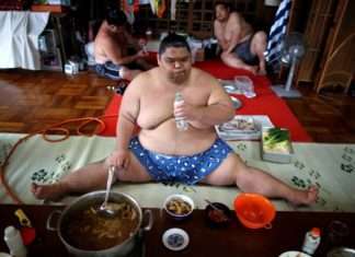 Як харчуються борці сумо