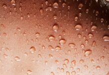 Advanced Acne Patches Show Promise in Early Trials