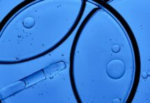 ADN del salmón en el cuidado de la piel: lo que dice la ciencia