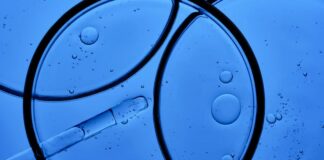 Lachs-DNA in der Hautpflege: Was die Wissenschaft sagt