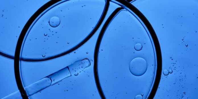 e29e2b61-ccb7-4bf5-a7ef-e38c39268bfc