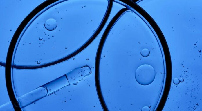 ДНК Лосося в догляді за шкірою: Що говорить Наука